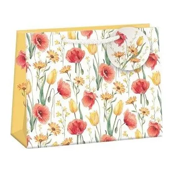 Dárková taška ARGUS Dárková papírová taška (30 x 23 cm) 07670814