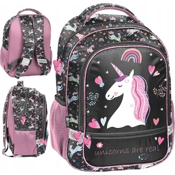 Školní batoh Školní batoh vícekomorový Paso černý, růžový, vícebarevný 19 l