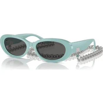 TIFFANY & CO. TF4221 8388S4