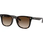 RAY-BAN RB4420 710/13