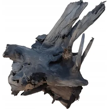 Teraristika Kořen mopani 40 x 50 cm