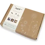 Blossombs Semínkové bomby - Dárková sada menší 7ks