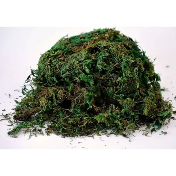 Stoklasa Mech dekorační 100 g