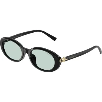 Oblečení a móda TIFFANY & CO. TF4242D 8001D9