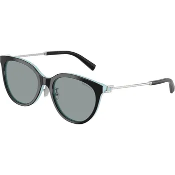 Oblečení a móda TIFFANY & CO. TF4243D 8055/1