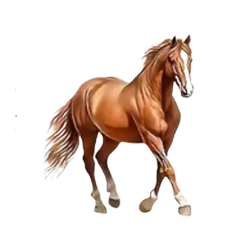 Nažehlovací obrázek - motiv koně VII (7,3 x 8,5 cm)