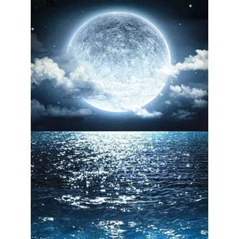 Diamantové malování Diamantové malování/Homfun - Úplněk nad mořem