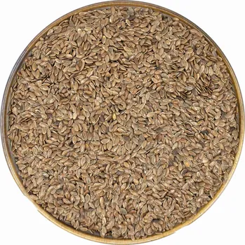 Sušená potravina Zdravoslav Len hnědý 99,95% 1000 g