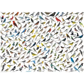 Dětské zboží Puzzle Svět ptáků 1000 dílků od EUROGRAPHICS