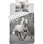 Detexpol Bavlněné ložní prádlo 140x200 Kůň cválající šedý 3627 A černý bílý 0142 kůň mládež kůň Holland Collection 220125592