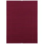 Lichtblick Plisovaná roleta, od 45 x 130 cm (ostružinová, 100 x 130 cm)