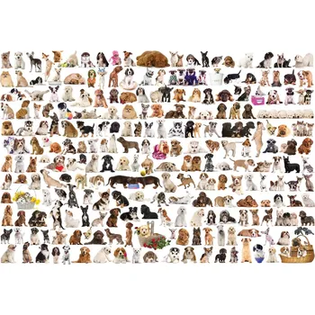 Hračka EUROGRAPHICS puzzle Svět psů 2000 dílků