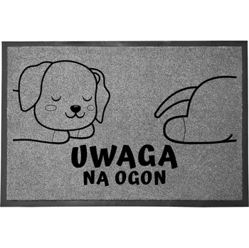 Rohožka ŠEDÁ VSTUPNÍ ROHOŽKA 40X60 CM KE DVEŘÍM PRO PEJSKAŘE - POZOR NA OCAS