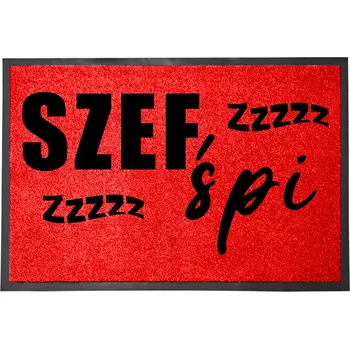 Rohožka Vstupní rohožka červená 40x60 cm - S humorem - Šéf spí