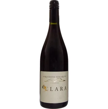 Medovina Vorlíčkovo včelařství Vorlíčkova Clara - ovocná medovina 13% 0,75l