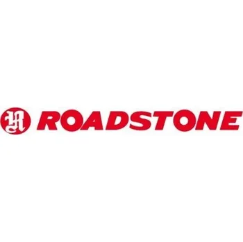 Osobní pneu Zimní pneumatika Roadstone Winguard Sport 245/45 R18 100 V s přilnavostí na sněhu (3PMSF), zesílená (XL)