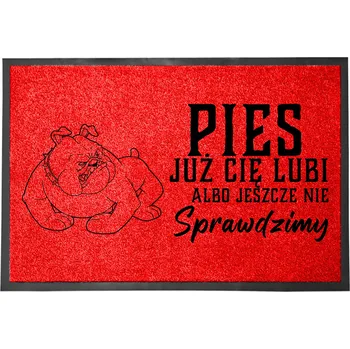 Rohožka Vstupní rohožka červená 40x60 DÁREK pro pejskaře - Tvůj pes tě bude milovat!