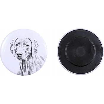 Obraz Výmarský ohař, Weimaraner - magnet s psím pozadím, extra lehká, silná