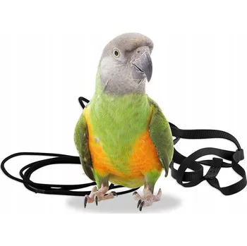 Postroj pro psa Postroj pro papoušky Aviator XS Modrý