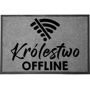Rohožka Vstupní rohožka šedá 40x60 ke dveřím - Vtipná, s humorným nápisem - Království offline