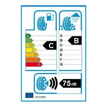 Osobní pneu Letní pneumatika Radar Dimax R8+ 295/30 R22 103 Y zesílená (XL)