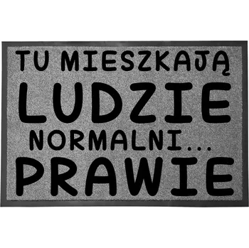 Rohožka Vstupní rohožka šedá 40x60 cm - "Skoro normální lidi"