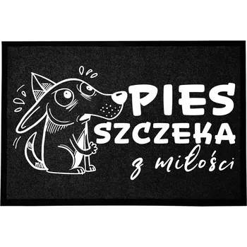 Rohožka Hotová rohožka z plastu, PVC 60 x 40 cm