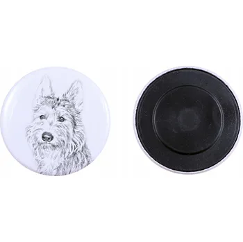 Obraz Pikardský ovčák, Berger Picard - magnet s psím pozadím, extra lehká