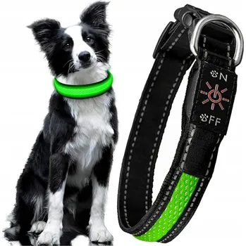 Obojek pro psa SVÍTÍCÍ LED OBOJEK PRO PSA, NASTAVITELNÝ, USB, VODĚODOLNÝ, PEVNÝ A ODOLNÝ, 60 cm