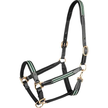 Vybavení pro koně WALDHAUSEN Ohlávka kožená Oxford X-Line Waldhausen, black/green COB
