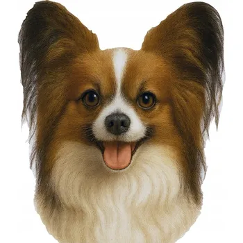 Samolepicí dekorace na vozidlo NÁLEPKA na Auto | PAPILLON PES na OKNO LOVER SLADKÝ CUTE DOG