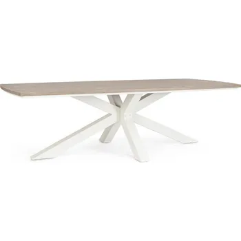 Zahradní stůl BIZZOTTO Zahradní jídelní stůl ZELMAR světlý 260x118 cm 0664109