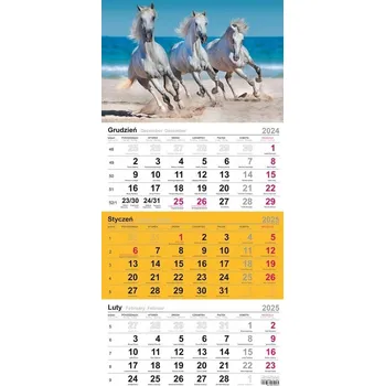 Kalendář Knižní kalendář 2026 Michalczyk I Prokop vícebarevný