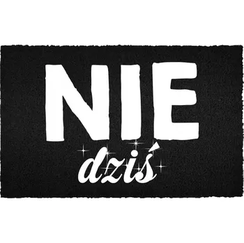 Rohožka KOKOSOVÁ ROHOŽKA ČERNÁ 40X60CM KE DVEŘÍM S VTIPEM - NE DIZŚ