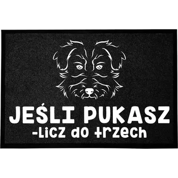 Rohožka ČERNÁ VSTUPNÍ ROHOŽKA 40X60CM PRO CHOVATELE PSŮ - POČÍTEJ DO TŘÍ