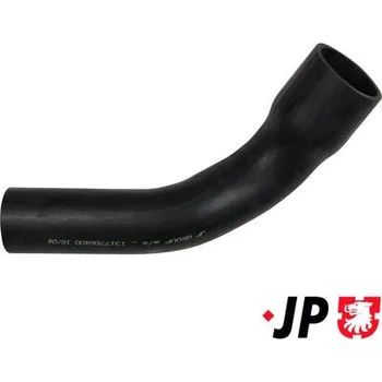 Motor automobilu Hadice plnícího vzduchu JP GROUP 1317700400