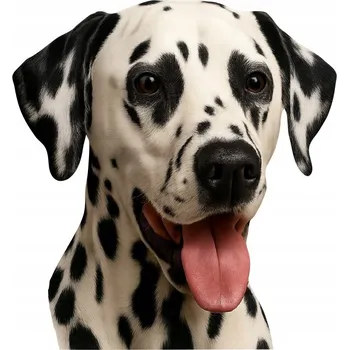 Samolepicí dekorace na vozidlo SAMOLEPKA na Auto | DALMATIN jako DÁREK RODINNÝ PES LOVE DOG