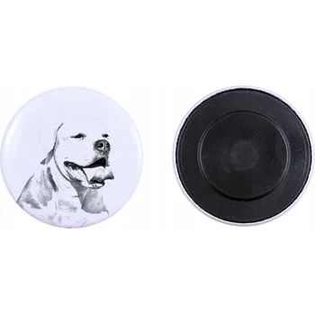 Obraz Americký buldok - magnet s psím pozadím, extra lehká a silná magnet