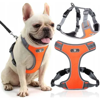Postroj pro psa Postroj pro psa zwierzoPasja oranžový, nastavitelný, netlačí, velikost M