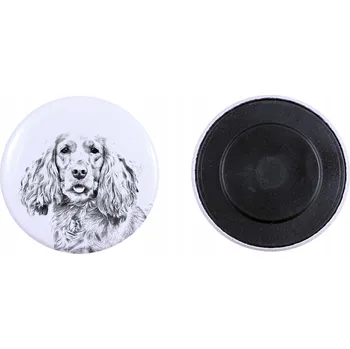 Obraz Anglický kokršpaněl - magnet s psí zadnicí, extra lehký, silný m