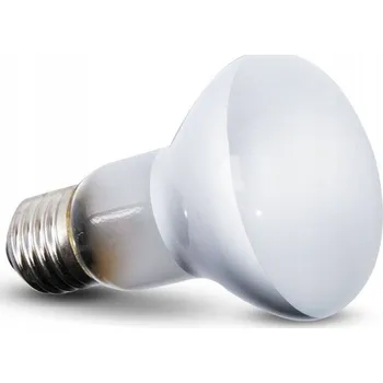 Osvětlení do terária Žárovka Repti-Zoo RZ Beam Spot BS63050 50W 50 W