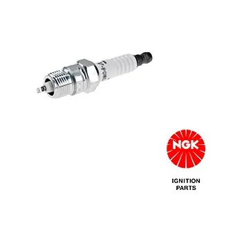 Autodíl Zapalovací svíčka NGK 6945