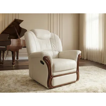 Křeslo Kožené křeslo s funkcí relax s elektrickým ovládáním