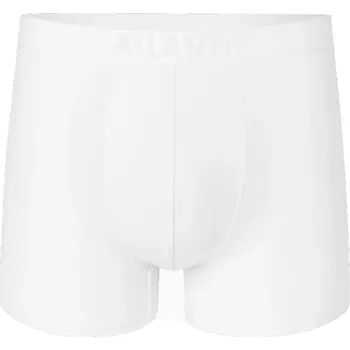 Pánské spodní prádlo Pánské boxerky ATLANTIC BMH-016 bambusové bílé XL