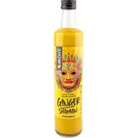 Mixit Mixit Ginger Shaman 500 g