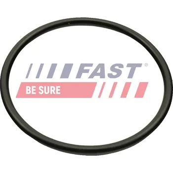 Těsnění motoru Těsnění, koleno sacího potrubí FAST FT49460