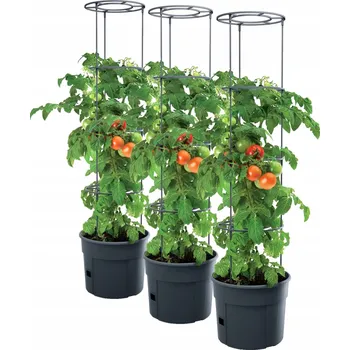 Květináč Šedý plast Květináč Prosperplast 29,5 cm x 29,5 x 115,2 cm