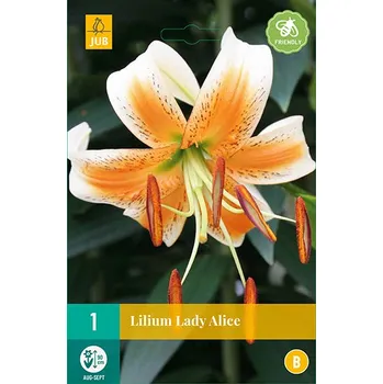 Cibulovina Lilie Lady Alice (1 cibule) Special