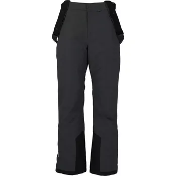 Snowboardové kalhoty Pánské lyžařské kalhoty Whistler Drizzle M Ski Pant W-Pro 10000 Whistler černá 3089812
