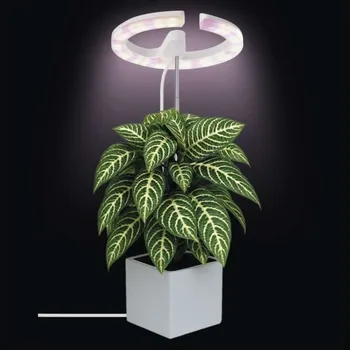 Lampička EMOS Z7902 LED GROW pěstební lampa 8 W, časovač, stmívatelná